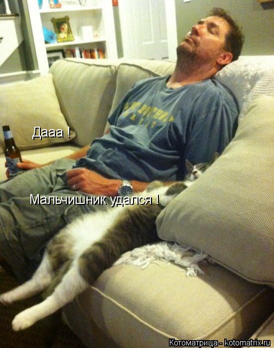 Дааа ! Мальчишник удался !... Котоматрица: Дааа ! Мальчишник удался !