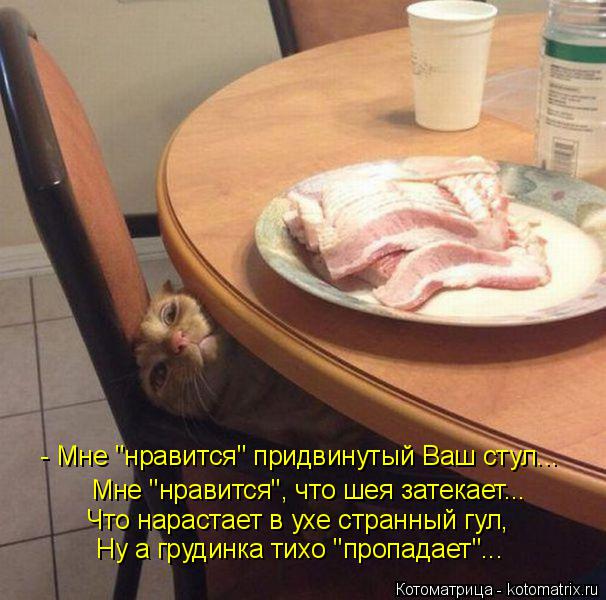 - Мне "нравится" придвинутый Ваш стул... Мне "нравится", что шея затекает... Что нарастает в ухе стра... Котоматрица: - Мне "нравится" придвинутый Ваш стул... Мне "нравится", что шея затекает... Что нарастает в ухе странный гул, Ну а грудинка тихо "пропадает"...