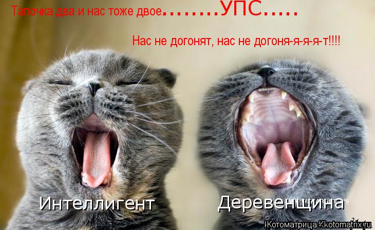 Тапочка два и нас тоже двое. Нас не догонят, нас не догоня-я-я-я-т!!!! ........УПС........ Котоматрица: Тапочка два и нас тоже двое. Нас не догонят, нас не догоня-я-я-я-т!!!! ........УПС.....
