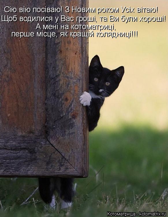 Сію вію посіваю! З Новим роком Усіх вітаю! Щоб водилися у Вас гроші, та Ви були хороші! А мені на кот... Котоматрица: Сію вію посіваю! З Новим роком Усіх вітаю! Щоб водилися у Вас гроші, та Ви були хороші! А мені на котоматриці, перше місце, як кращій колядниц