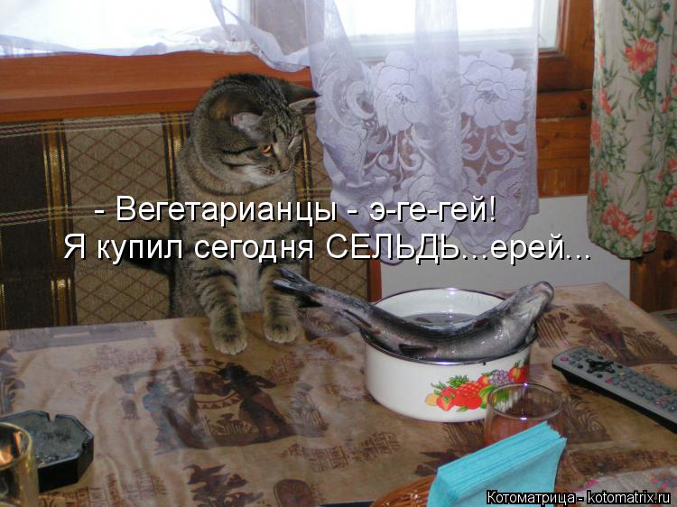 - Вегетарианцы - э-ге-гей! Я купил сегодня СЕЛЬДЬ...ерей...... Котоматрица: - Вегетарианцы - э-ге-гей! Я купил сегодня СЕЛЬДЬ...ерей...