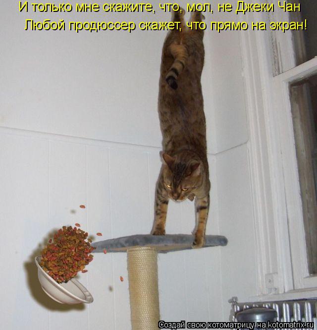 Котоматрица: И только мне скажите, что, мол, не Джеки Чан Любой продюссер скажет, что прямо на экран!
