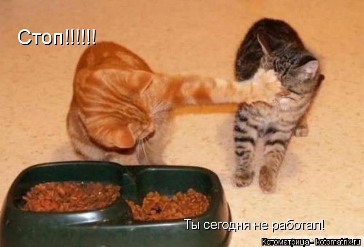 Котоматрица: Ты сегодня не работал! Стоп!!!!!!