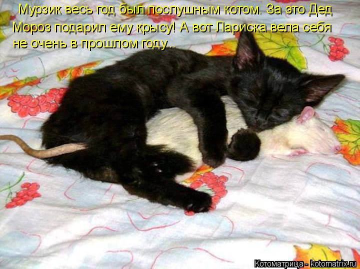 Котоматрица: Мурзик весь год был послушным котом. За это Дед Мороз подарил ему крысу! А вот Лариска вела себя  не очень в прошлом году...