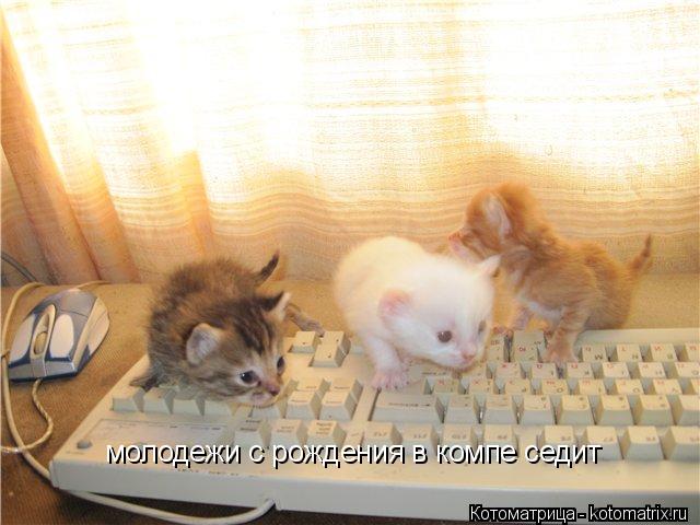 Котоматрица: молодежи с рождения в компе седит
