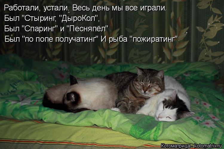 Работали, устали. Весь день мы все играли. Был "Стыринг, "ДыроКол", Был "Спаринг" и "Песняпёл" Был "п... Котоматрица: Работали, устали. Весь день мы все играли. Был "Стыринг, "ДыроКол", Был "Спаринг" и "Песняпёл" Был "по попе получатинг" И рыба "пожиратинг"