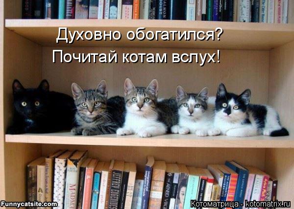 Котоматрица: Духовно обогатился? Почитай котам вслух!