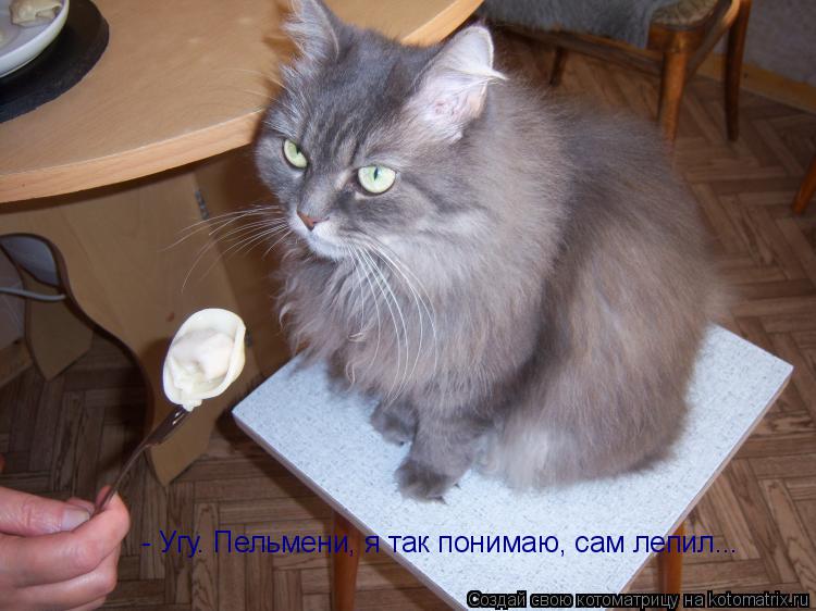- Угу. Пельмени, я так понимаю, сам лепил...... Котоматрица: - Угу. Пельмени, я так понимаю, сам лепил...