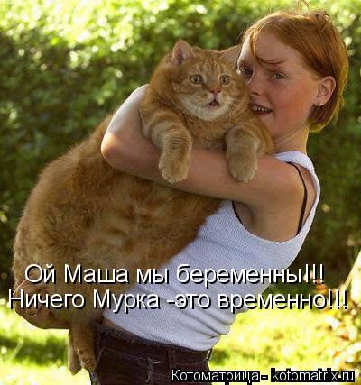 Ой Маша мы беременны!!! Ничего Мурка -это временно!!!... Котоматрица: Ой Маша мы беременны!!! Ничего Мурка -это временно!!!