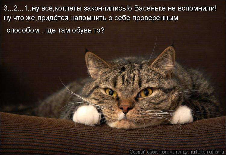 Котоматрица: 3...2...1..ну всё,котлеты закончились!о Васеньке не вспомнили! ну что же,придётся напомнить о себе проверенным способом...где там обувь то?