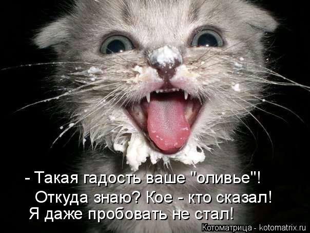 - Такая гадость ваше "оливье"! Откуда знаю? Кое - кто сказал! Я даже пробовать не стал!... Котоматрица: - Такая гадость ваше "оливье"! Откуда знаю? Кое - кто сказал! Я даже пробовать не стал!