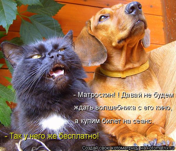 - Матроскин! ! Давай не будем ждать волшебника с его кино, а купим билет на сеанс. - Так у него же ... Котоматрица: - Матроскин! ! Давай не будем ждать волшебника с его кино, а купим билет на сеанс. - Так у него же бесплатно!