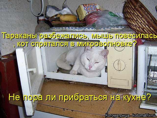 Тараканы разбежались, мышь повесилась, , кот спрятался в микроволновке? Не пора ли прибраться на ку... Котоматрица: Тараканы разбежались, мышь повесилась, , кот спрятался в микроволновке? Не пора ли прибраться на кухне?