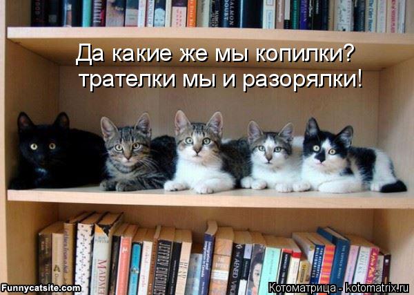 Да какие же мы копилки? трателки мы и разорялки!... Котоматрица: Да какие же мы копилки? трателки мы и разорялки!