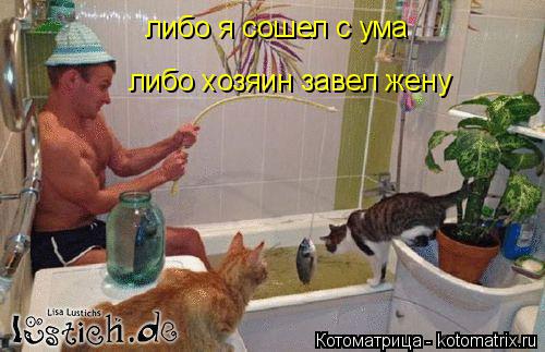 либо я сошел с ума либо хозяин завел жену... Котоматрица: либо я сошел с ума либо хозяин завел жену