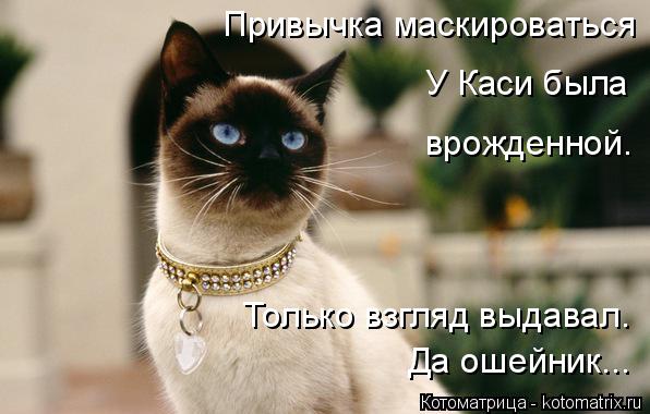 Привычка маскироваться У Каси была врожденной. Только взгляд выдавал. Да ошейник...... Котоматрица: Привычка маскироваться У Каси была врожденной. Только взгляд выдавал. Да ошейник...