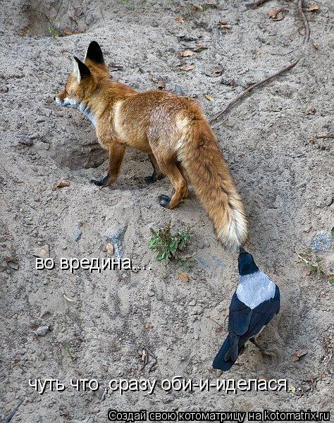 во вредина.... чуть что ,сразу оби-и-иделася...... Котоматрица: во вредина.... чуть что ,сразу оби-и-иделася...