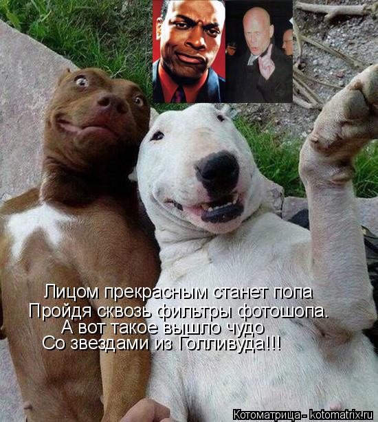 Лицом прекрасным станет попа Пройдя сквозь фильтры фотошопа. А вот такое вышло чудо Со звездами из ... Котоматрица: Лицом прекрасным станет попа Пройдя сквозь фильтры фотошопа. А вот такое вышло чудо Со звездами из Голливуда!!!