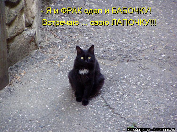 - Я и ФРАК одел и БАБОЧКУ! Встречаю ... свою ЛАПОЧКУ!!!... Котоматрица: - Я и ФРАК одел и БАБОЧКУ! Встречаю ... свою ЛАПОЧКУ!!!