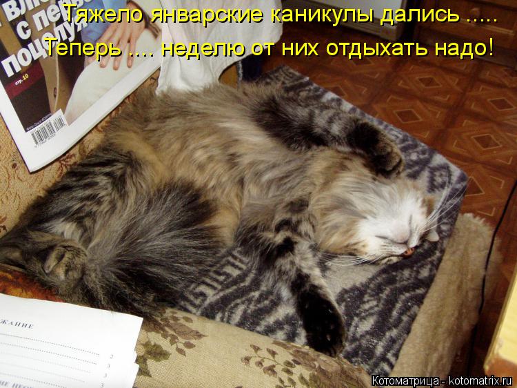 Тяжело январские каникулы дались ..... Теперь .... неделю от них отдыхать надо!... Котоматрица: Тяжело январские каникулы дались ..... Теперь .... неделю от них отдыхать надо!