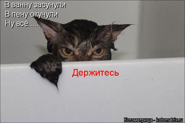 В ванну засунули В пену окунули Ну всё..... Держитесь... Котоматрица: В ванну засунули В пену окунули Ну всё..... Держитесь
