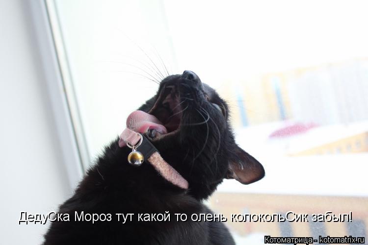 Котоматрица: ДедуСка Мороз тут какой то олень колокольСик забыл!