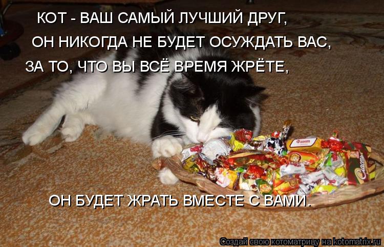 КОТ - ВАШ САМЫЙ ЛУЧШИЙ ДРУГ, ОН НИКОГДА НЕ БУДЕТ ОСУЖДАТЬ ВАС, ЗА ТО, ЧТО ВЫ ВСЁ ВРЕМЯ ЖРЁТЕ, ОН БУДЕ... Котоматрица: КОТ - ВАШ САМЫЙ ЛУЧШИЙ ДРУГ, ОН НИКОГДА НЕ БУДЕТ ОСУЖДАТЬ ВАС, ЗА ТО, ЧТО ВЫ ВСЁ ВРЕМЯ ЖРЁТЕ, ОН БУДЕТ ЖРАТЬ ВМЕСТЕ С ВАМИ.