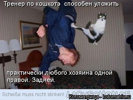 Тренер по кошкотэ способен уложить практически любого хозяина одной правой. Задней.... Котоматрица: Тренер по кошкотэ способен уложить практически любого хозяина одной правой. Задней.