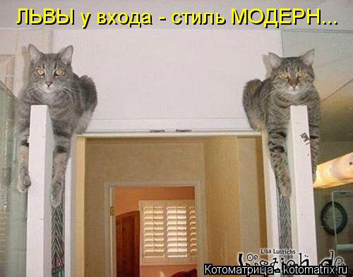 Котоматрица: ЛЬВЫ у входа - стиль МОДЕРН...
