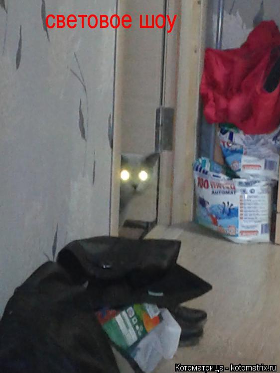 световое шоу... Котоматрица: световое шоу