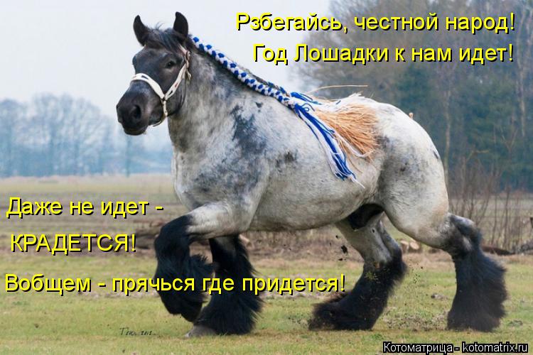 Рзбегайсь, честной народ! Год Лошадки к нам идет! Даже не идет - КРАДЕТСЯ! Вобщем - прячься где прид... Котоматрица: Рзбегайсь, честной народ! Год Лошадки к нам идет! Даже не идет - КРАДЕТСЯ! Вобщем - прячься где придется!