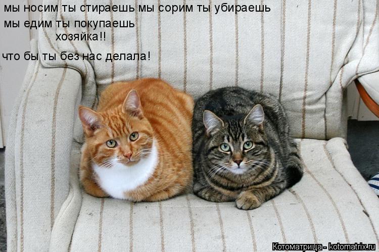 мы носим ты стираешь мы сорим ты убираешь мы едим ты покупаешь хозяйка!! что бы ты без нас делала!... Котоматрица: мы носим ты стираешь мы сорим ты убираешь мы едим ты покупаешь хозяйка!! что бы ты без нас делала!