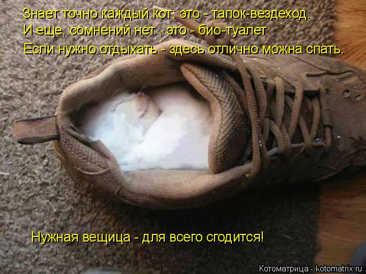 Котоматрица: И еще, сомнений нет , это - био-туалет Если нужно отдыхать - здесь отлично можна спать. Знает точно каждый кот: это - тапок-вездеход. Нужная вещ