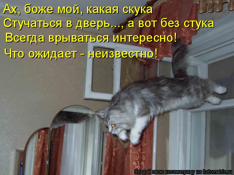 Котоматрица: Стучаться в дверь..., а вот без стука Что ожидает - неизвестно! Ах, боже мой, какая скука Всегда врываться интересно!