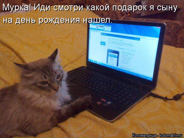 Мурка! Иди смотри какой подарок я сыну на день рождения нашел.... Котоматрица: Мурка! Иди смотри какой подарок я сыну на день рождения нашел.