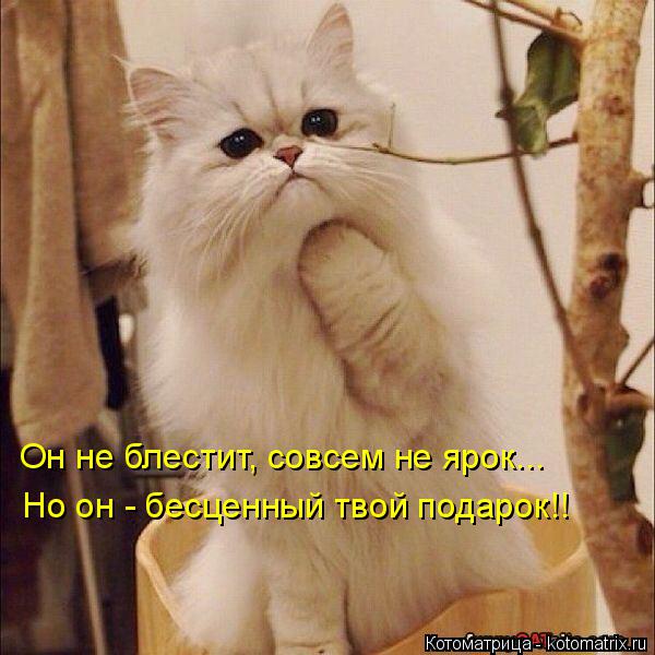 Котоматрица: Он не блестит, совсем не ярок... Но он - бесценный твой подарок!!