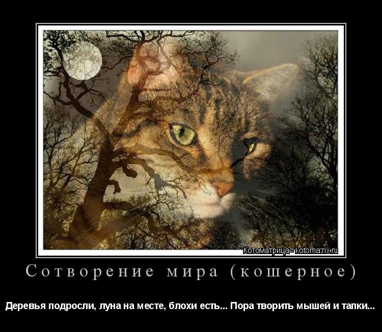 Сотворение мира (кошерное) Деревья подросли, луна на месте, блохи есть... Пора творить мышей и тапки.... Котоматрица: Сотворение мира (кошерное) Деревья подросли, луна на месте, блохи есть... Пора творить мышей и тапки...