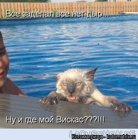 Котоматрица: Все заделал все нет дыр... Ну и где мой Вискас???!!!