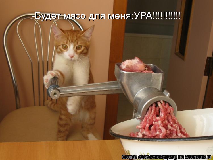 Котоматрица: -Будет мясо для меня:УРА!!!!!!!!!!!