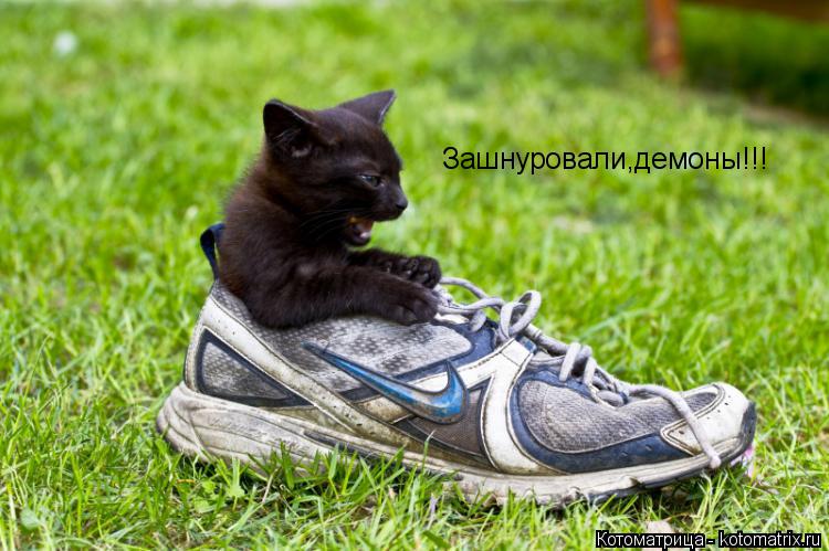 Котоматрица: Зашнуровали,демоны!!!