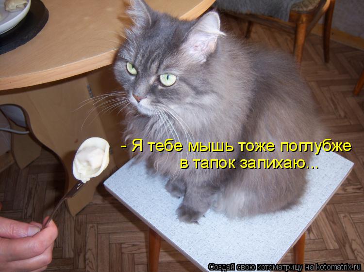 - Я тебе мышь тоже поглубже в тапок запихаю...... Котоматрица: - Я тебе мышь тоже поглубже в тапок запихаю...