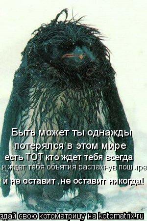Котоматрица: Быть может ты однажды  потерялся в этом мире есть ТОТ кто ждет тебя всегда и ждет тебя объятия распахнув пошире и не оставит ,не оставит нико