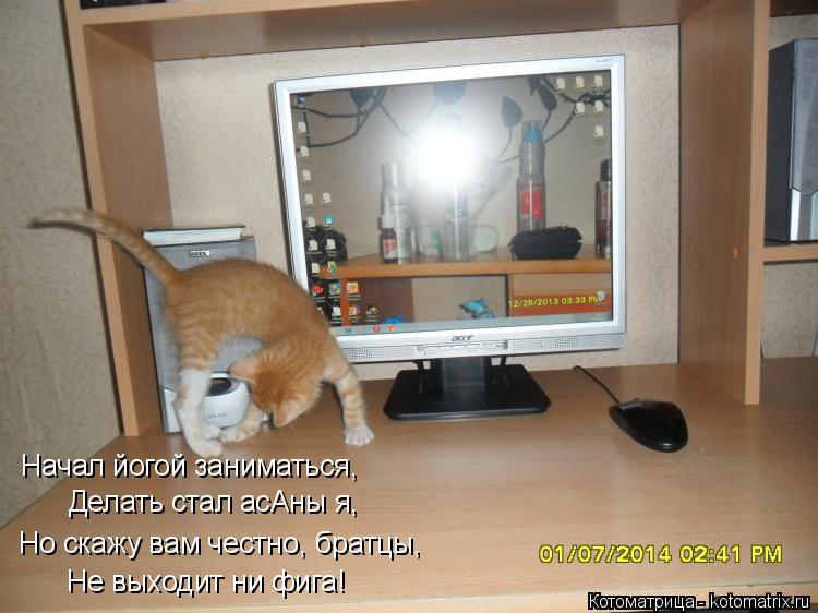 Начал йогой заниматься, Делать стал асАны я, Но скажу вам честно, братцы, Не выходит ни фига!... Котоматрица: Начал йогой заниматься, Делать стал асАны я, Но скажу вам честно, братцы, Не выходит ни фига!