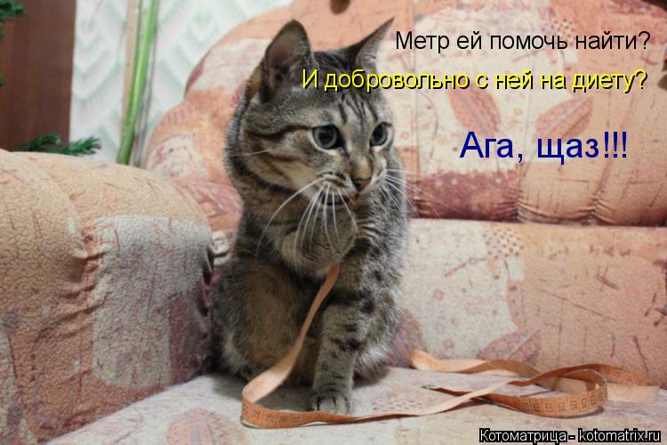 Метр ей помочь найти? И добровольно с ней на диету? Ага, щаз!!!... Котоматрица: Метр ей помочь найти? И добровольно с ней на диету? Ага, щаз!!!