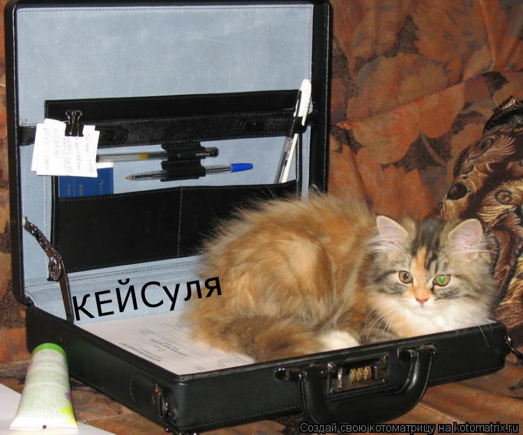 Котоматрица: КЕЙСуля