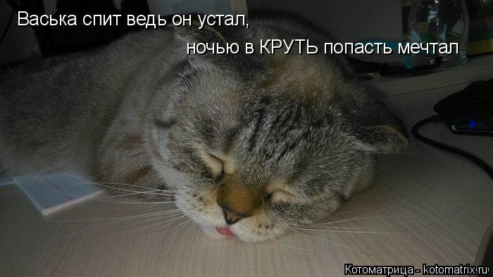 Васька спит ведь он устал, ночью в КРУТЬ попасть мечтал... Котоматрица: Васька спит ведь он устал, ночью в КРУТЬ попасть мечтал