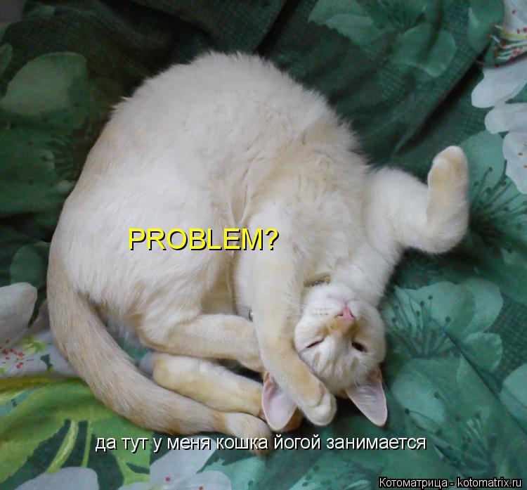 Котоматрица: PROBLEM? да тут у меня кошка йогой занимается