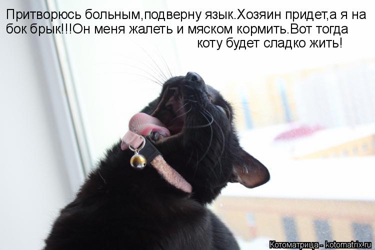 Котоматрица: Притворюсь больным,подверну язык.Хозяин придет,а я на  бок брык!!!Он меня жалеть и мяском кормить.Вот тогда коту будет сладко жить!