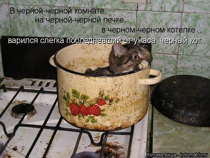 Котоматрица: В черной-черной комнате,     на черной-черной печке,  в черном-черном котелке ... варился слегка побледневший от ужаса  черный кот.