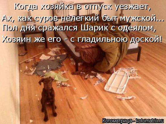 Котоматрица: Когда хозяйка в отпуск уезжает, Ах, как суров нелегкий быт мужской... Пол дня сражался Шарик с одеялом, Хозяин же его - с гладильною доской!